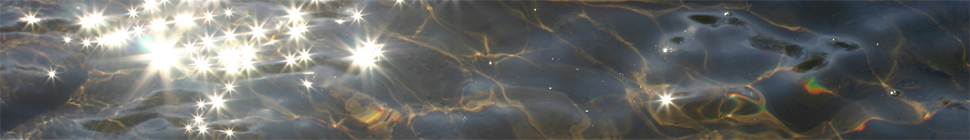 Holly Witteman random header image